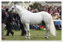 Currachmore Cashel