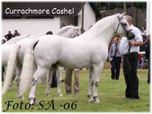Currachmore Cashel